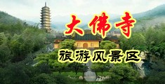 用男的鸡巴捅女人的逼里让女人嗷嗷叫国际服黄色网站中国浙江-新昌大佛寺旅游风景区